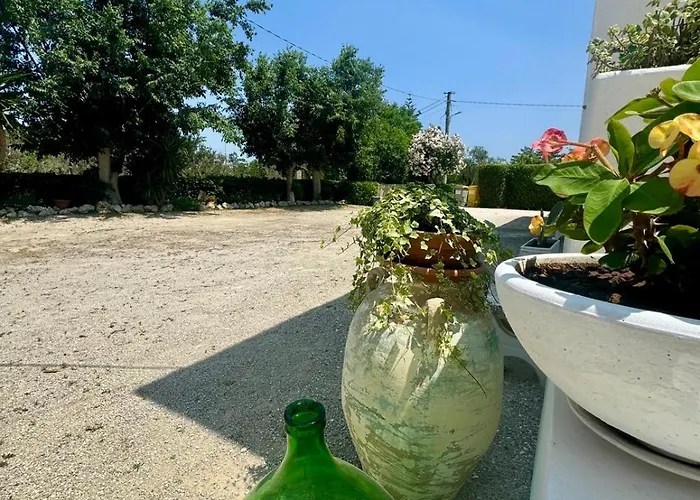 Bed & Breakfast La Rondine