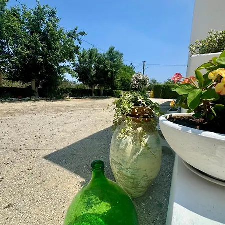 Guest house La Rondine