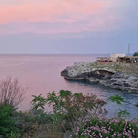 Bed & Breakfast La Rondine *
